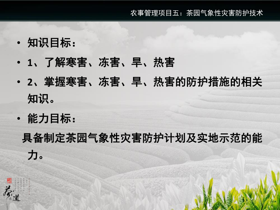 农事管理项目五茶树气象性灾害防护技术课件_第1页