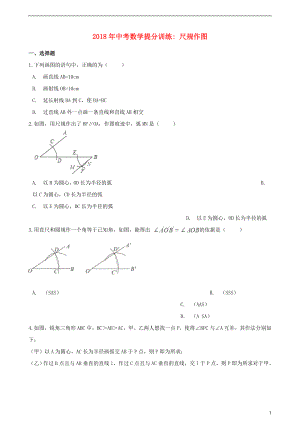 湖南省邵陽市2018年中考數(shù)學(xué)提分訓(xùn)練 尺規(guī)作圖（含解析）