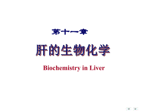 生物化学教学第十一章肝的生物化学ppt课件