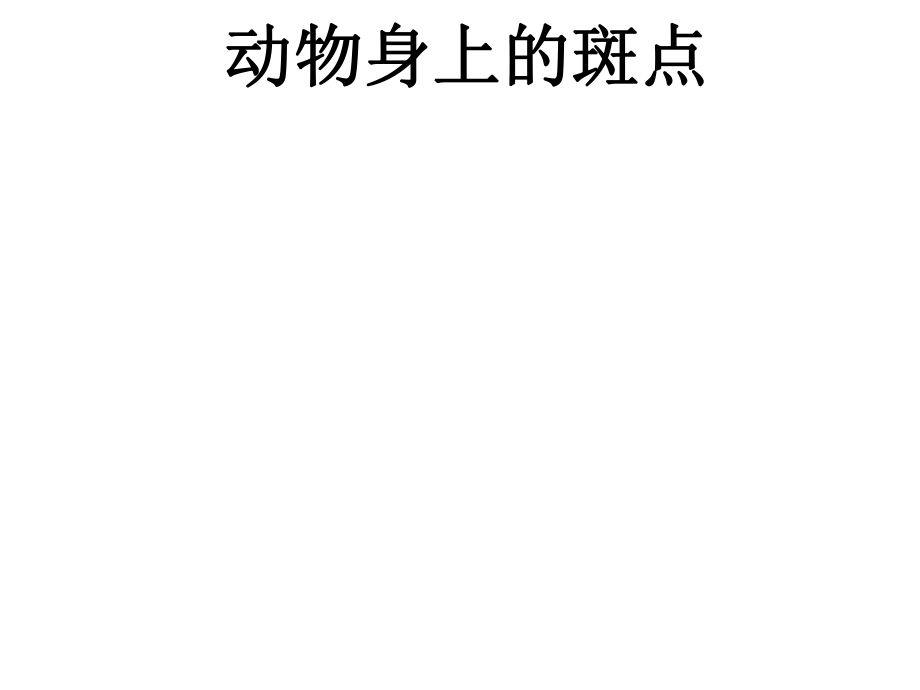 浙美版美术一年级上册《动物身上的斑点》课件_第1页