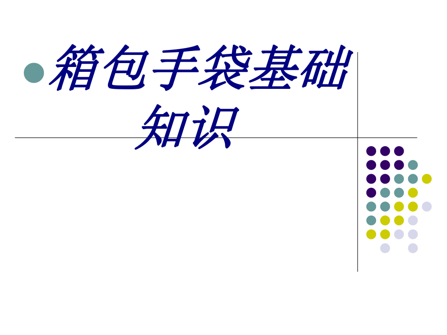 箱包手袋基础知识培训ppt课件_第1页