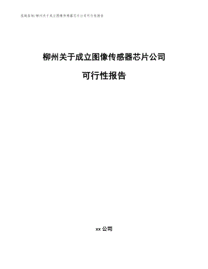 柳州关于成立图像传感器芯片公司可行性报告【模板范文】