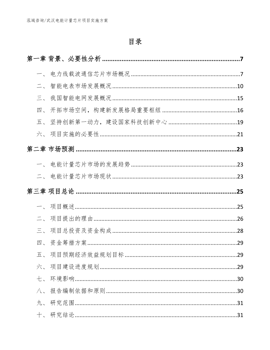武汉电能计量芯片项目实施方案（模板范本）_第1页