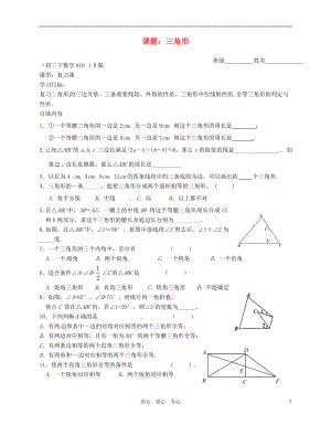 江苏省无锡市蠡园中学九年级数学下册三角形学案B版无答案