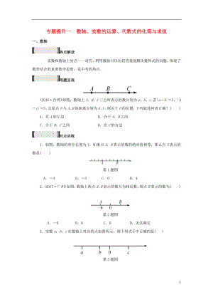 浙江省2018年中考數(shù)學(xué)總復(fù)習(xí) 專題提升一 數(shù)軸、實(shí)數(shù)的運(yùn)算、代數(shù)式的化簡與求值試題