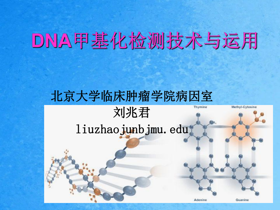 DNA甲基化和肿瘤ppt课件_第1页