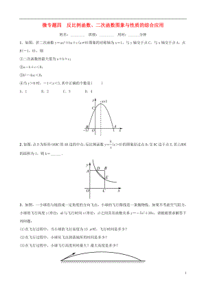 浙江省2019年中考數(shù)學(xué)復(fù)習(xí) 微專題四 反比例函數(shù)、二次函數(shù)圖象與性質(zhì)的綜合應(yīng)用訓(xùn)練