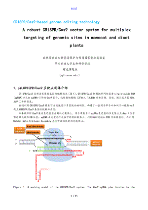 Pcrispr New