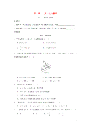 浙江省嘉興市秀洲區(qū)七年級數(shù)學下冊 第2章 二元一次方程組 2.2 二元一次方程組練習 （新版）浙教版