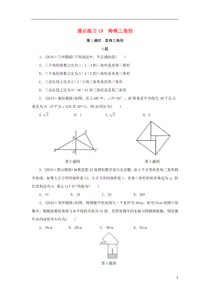 浙江省2018年中考數(shù)學(xué)總復(fù)習(xí) 第四章 基本圖形(一)課后練習(xí)19 特殊三角形作業(yè)本