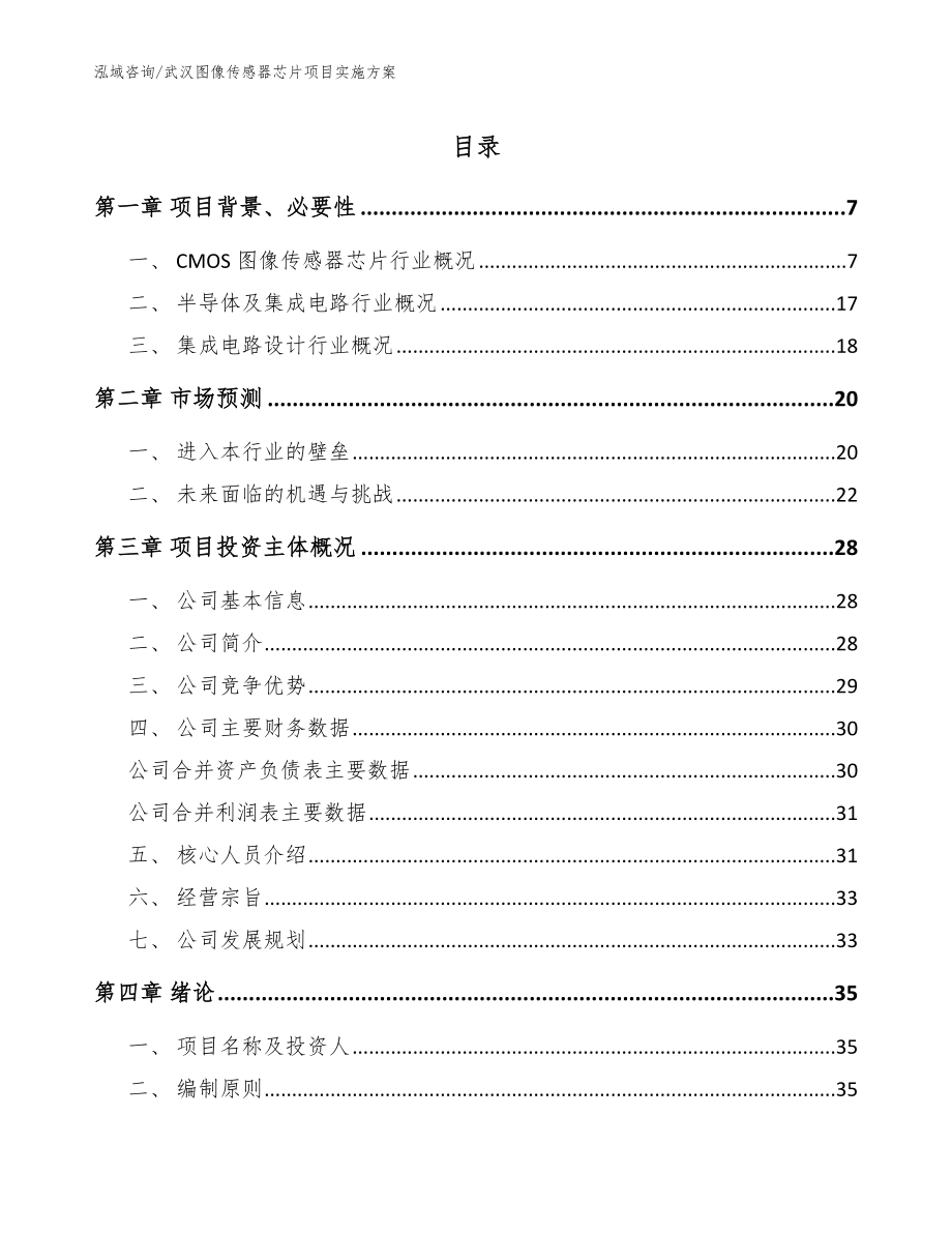 武汉图像传感器芯片项目实施方案（范文参考）_第1页