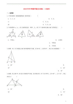 湖南省邵阳市2018年中考数学提分训练 三角形（含解析）