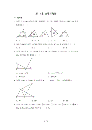 人教版八年級(jí)數(shù)學(xué)上冊(cè) 第12章 全等三角形單元練習(xí)試題