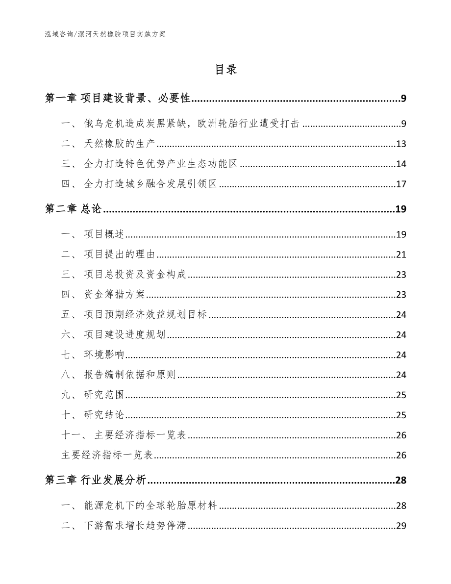 漯河天然橡胶项目实施方案_模板范文_第1页