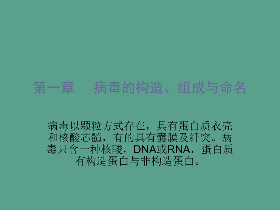 病毒的结构组成ppt课件_第1页