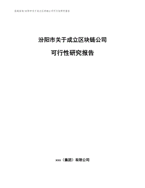 汾阳市关于成立区块链公司可行性研究报告_模板范本