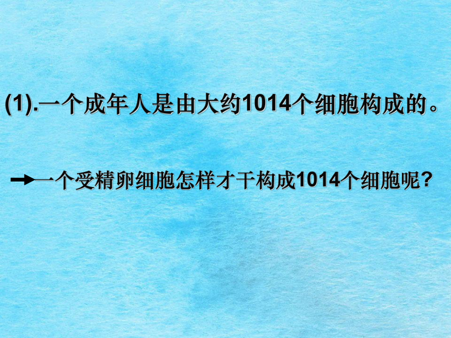 一个成年人是由大约04个细胞构成的ppt课件_第1页