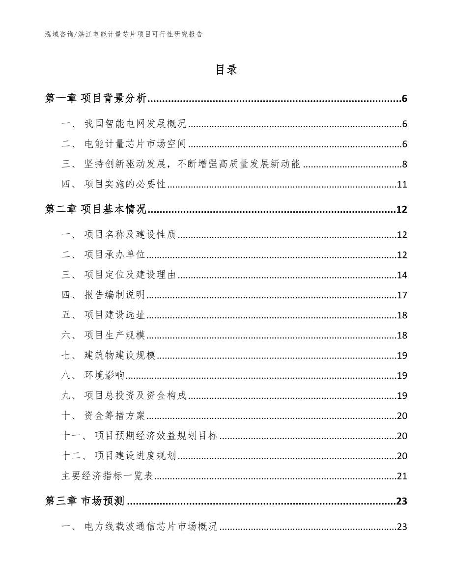 湛江电能计量芯片项目可行性研究报告_第1页