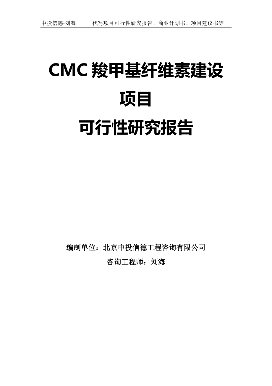 CMC羧甲基纤维素建设项目可行性研究报告模板_第1页