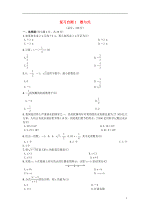 （安徽專版）2018年秋九年級數(shù)學(xué)下冊 復(fù)習(xí)自測1 數(shù)與式習(xí)題 （新版）滬科版