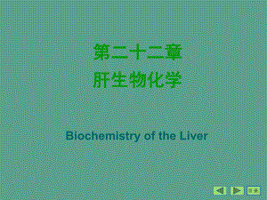 第二十二章肝生物化学ppt课件