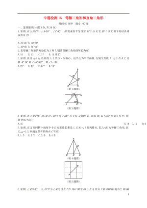 （通用版）2018年中考數(shù)學(xué)總復(fù)習(xí) 專題檢測(cè)15 等腰三角形和直角三角形試題 （新版）新人教版