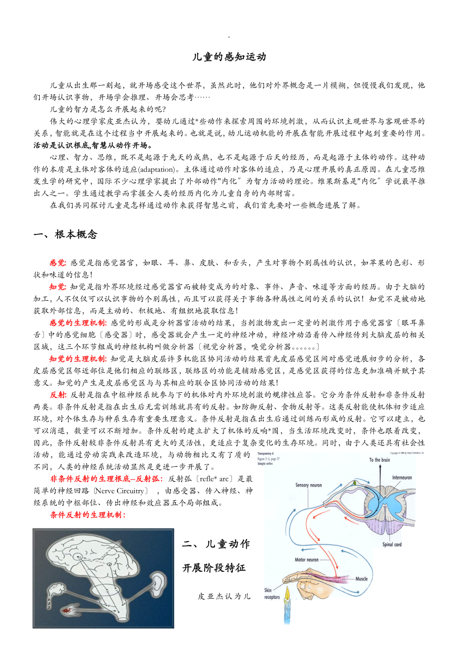 感知运动阶段详解_第1页