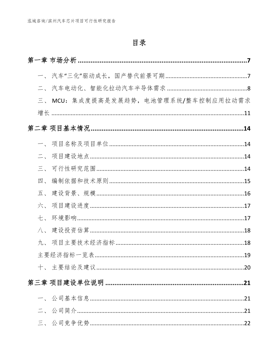 滨州汽车芯片项目可行性研究报告_第1页