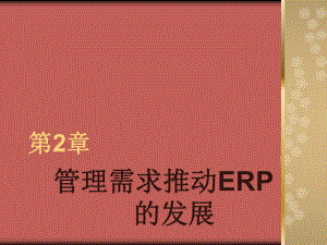 管理需求推动ERP的发展(12)课件