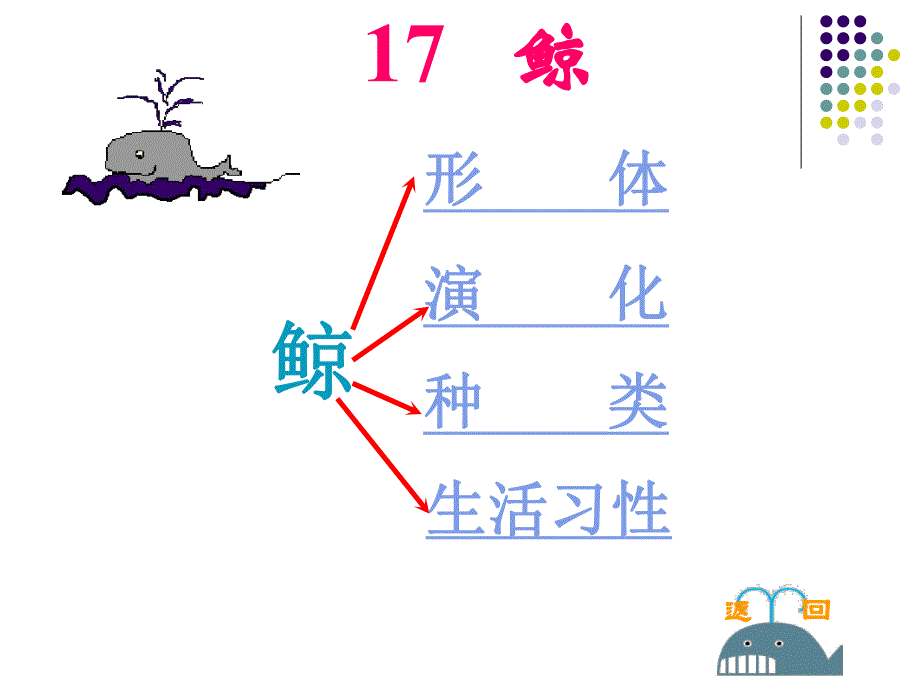 五年级上册《鲸》课件_第1页