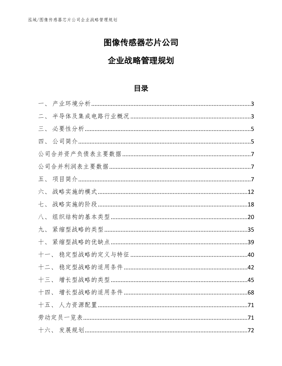 图像传感器芯片公司企业战略管理规划_第1页