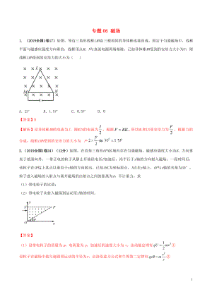 2019年高考物理 真題同步分類解析 專題06 磁場（含解析）