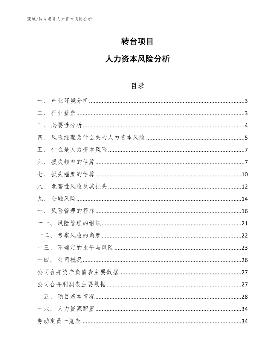 转台项目人力资本风险分析（范文）_第1页