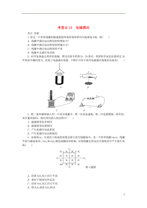 2019高考物理總復習 考查點15 電磁感應練習（無答案）