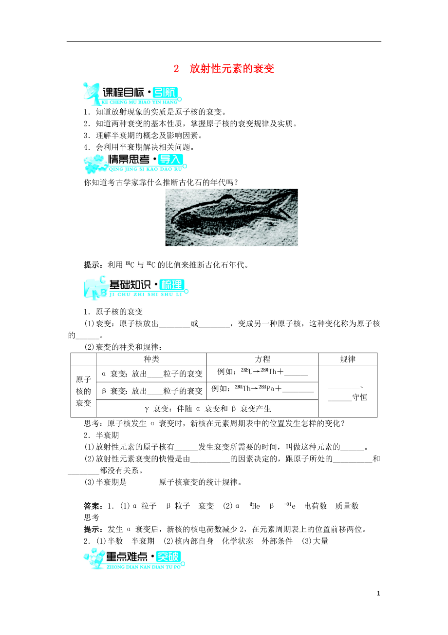 高中物理 第十九章 原子核 第2節(jié) 放射性元素的衰變學案 新人教版選修3-5_第1頁