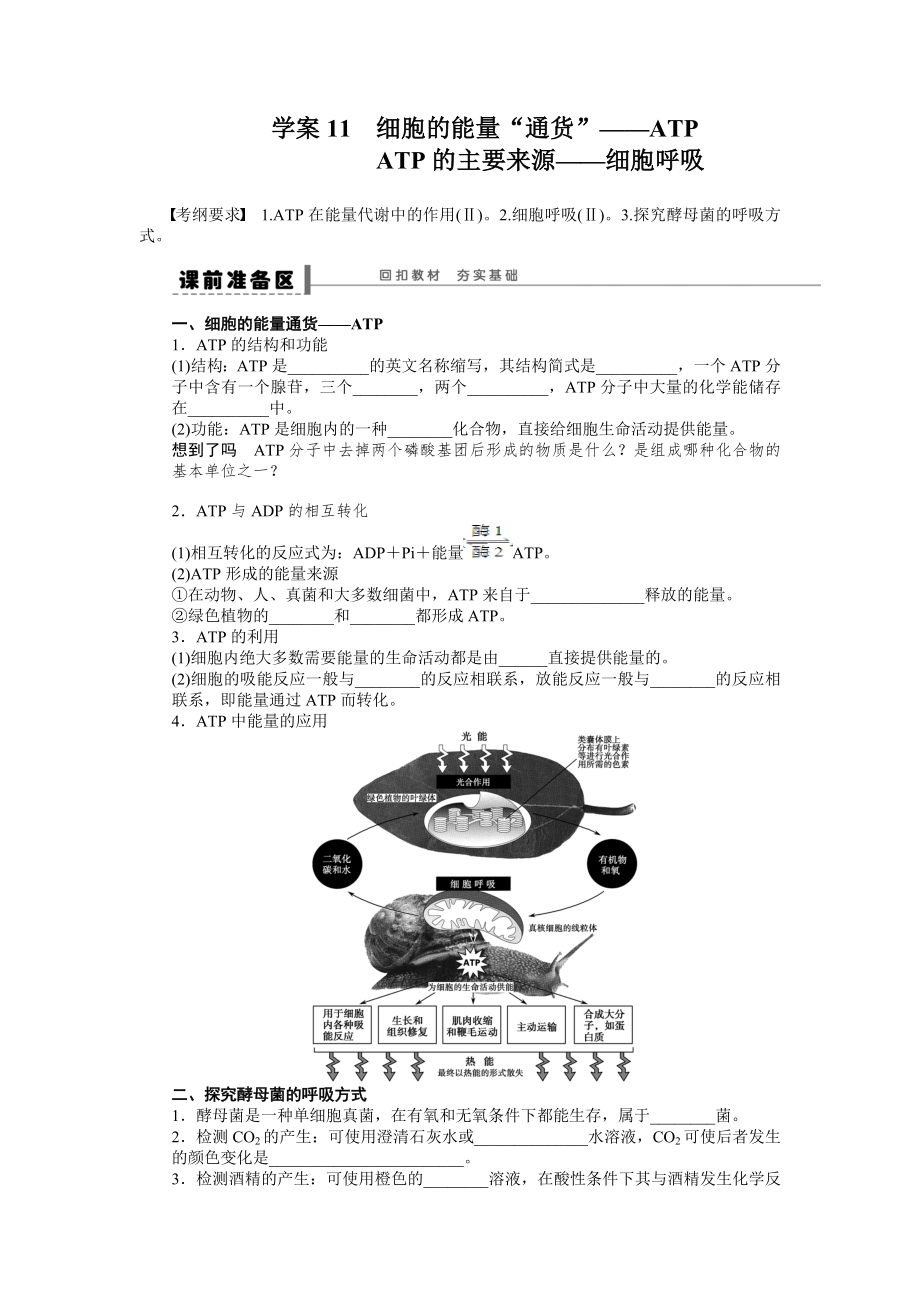 第三单元学案11细胞的能量 (2)_第1页