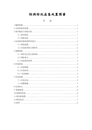 《防洪防汛預(yù)案》word版