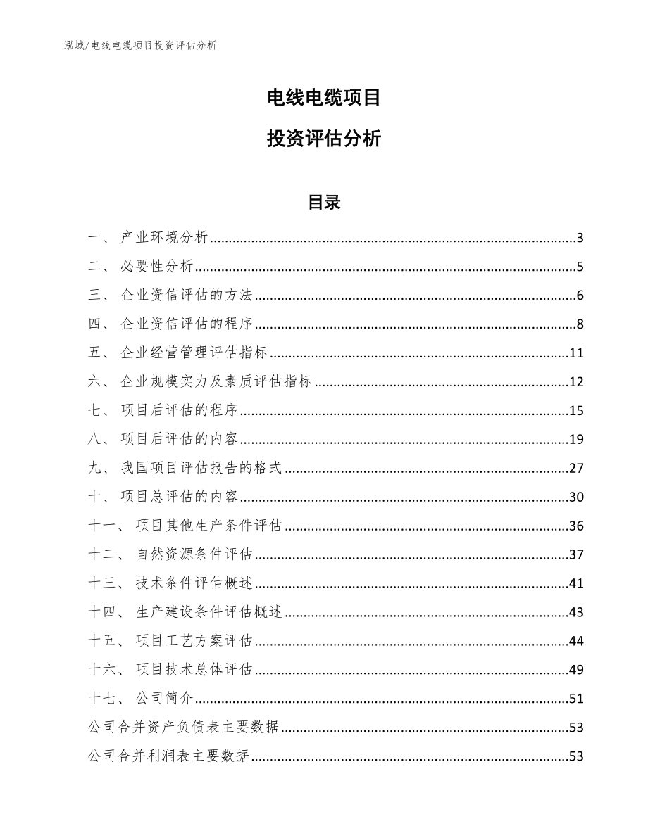 电线电缆项目投资评估总结_第1页