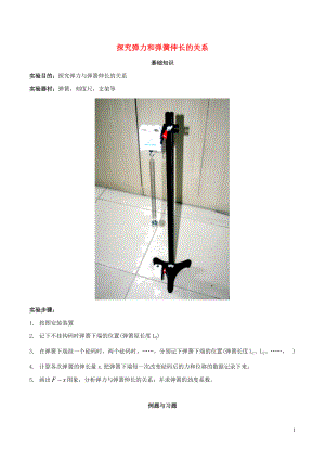 2020年高考物理 必考17個實驗精講精練 專題03 探究彈力和彈簧伸長的關(guān)系（含解析）