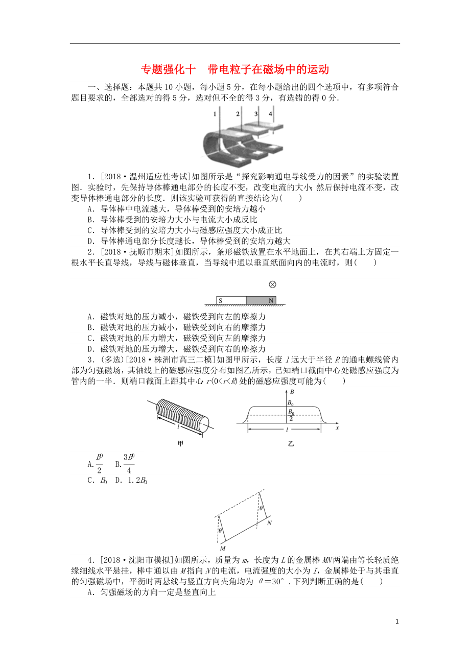 2019年高考物理二輪復(fù)習(xí) 專題強(qiáng)化十 帶電粒子在磁場(chǎng)中的運(yùn)動(dòng)_第1頁(yè)