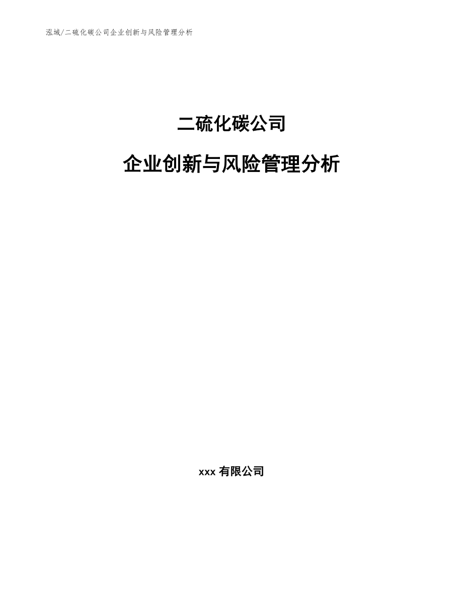 二硫化碳公司企业创新与风险管理分析_第1页