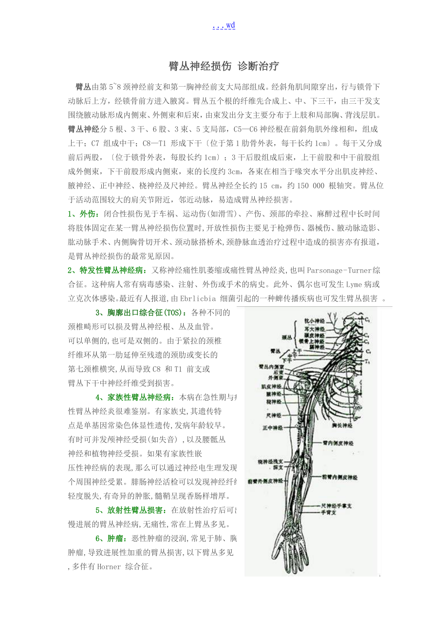 臂丛神经损伤解剖诊断和治疗_第1页