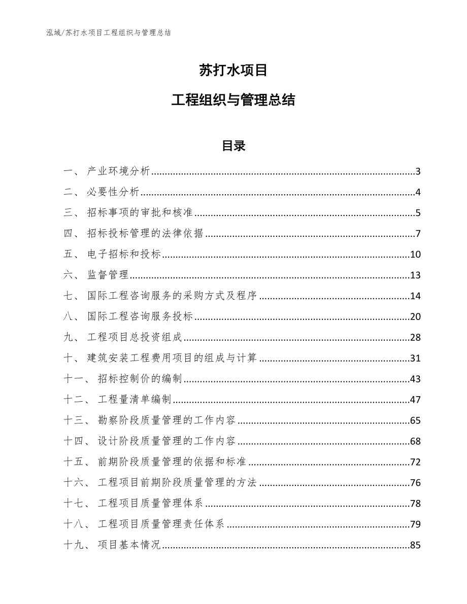 苏打水项目工程组织与管理总结【参考】_第1页