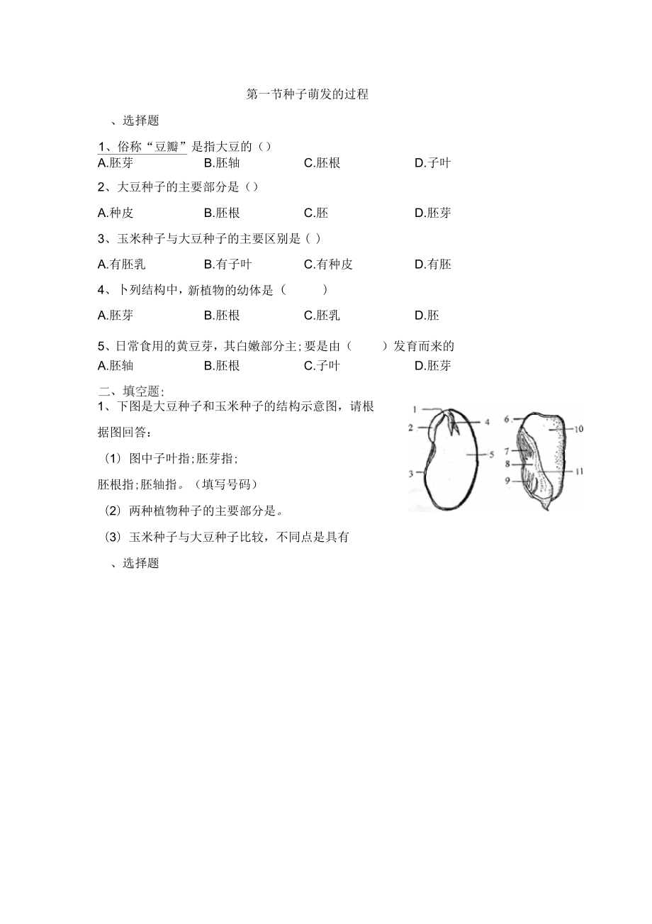 《種子萌發(fā)的過程》同步練習(xí)_第1頁