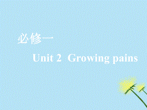 （全国通用）2020高考英语一轮复习 Unit 2 Growing pains课件 牛津译林版必修1