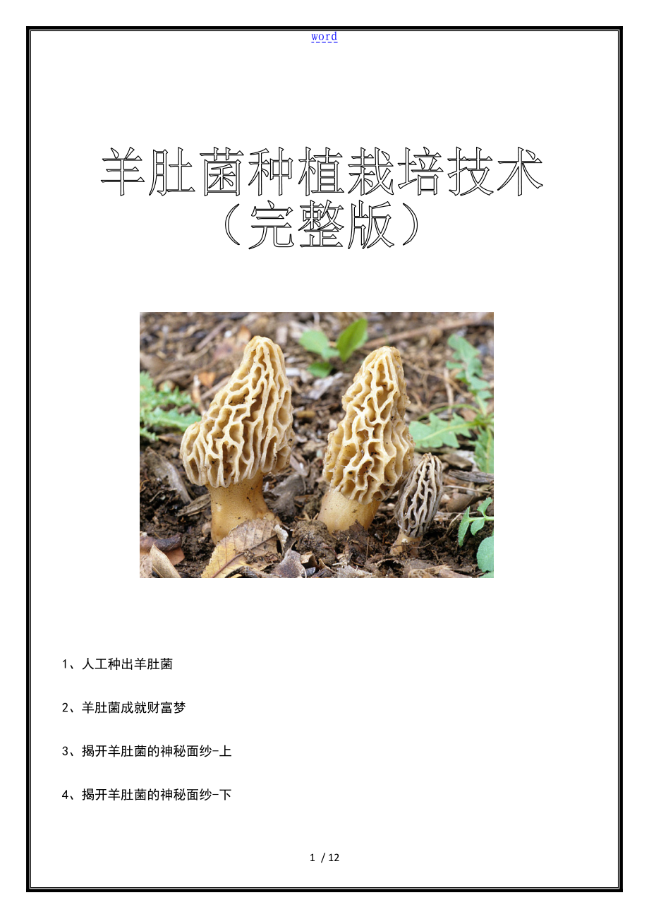 羊肚菌种植栽培技术完整版_第1页