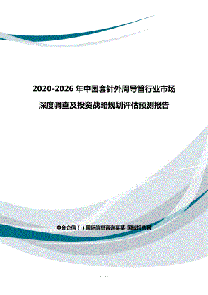 2026年中国套针外周导管行业市场深度调查及投资战略规划评估预测报告
