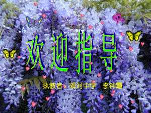紫藤萝瀑布 (3)