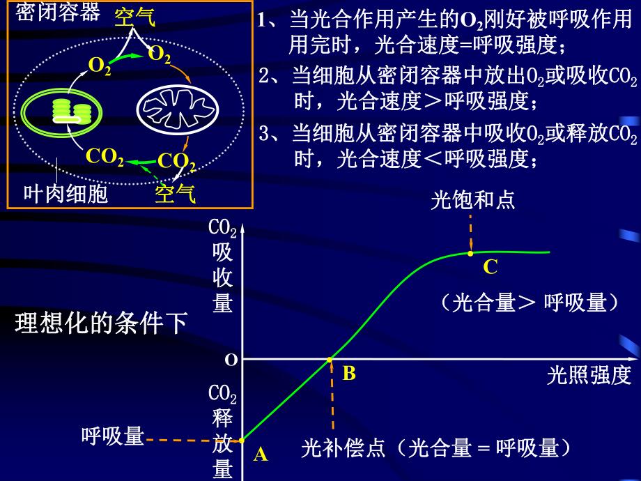 光合作用与呼吸作用_第1页