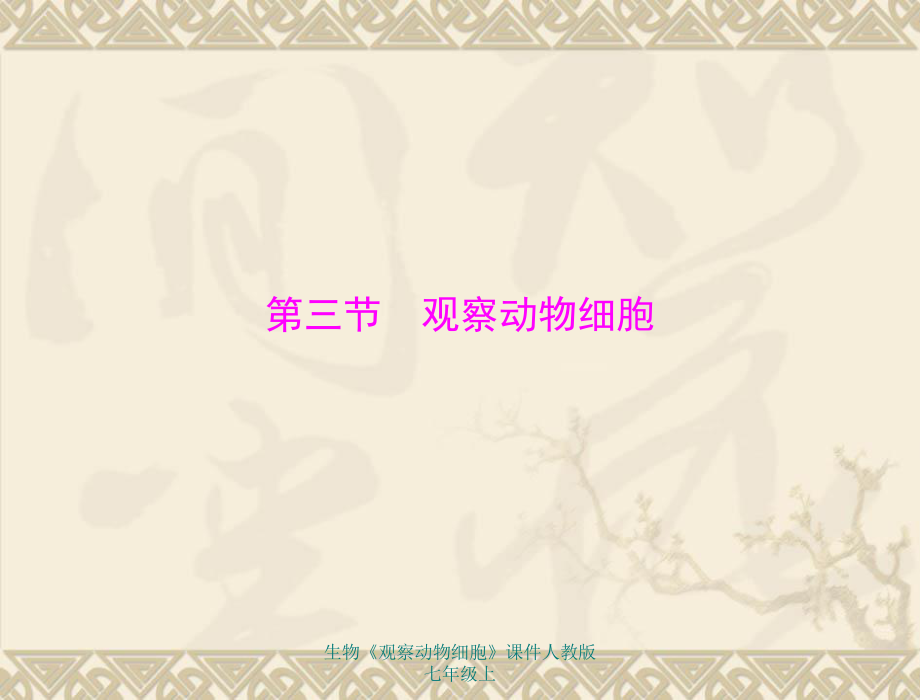 生物《觀察動物細胞》課件人教版七年級上課件_第1頁